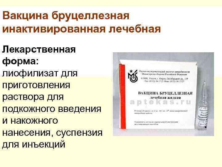 Вакцина бруцеллезная инактивированная лечебная Лекарственная форма: лиофилизат для приготовления раствора для подкожного введения и