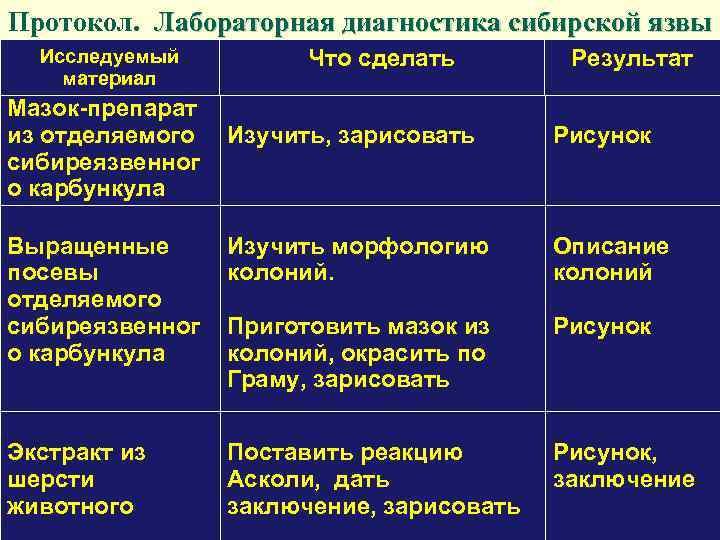 Протокол. Лабораторная диагностика сибирской язвы Исследуемый материал Что сделать Мазок-препарат из отделяемого Изучить, зарисовать