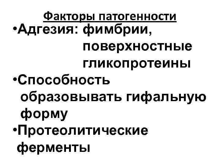 Факторы патогенности • Адгезия: фимбрии, поверхностные гликопротеины • Способность образовывать гифальную форму • Протеолитические