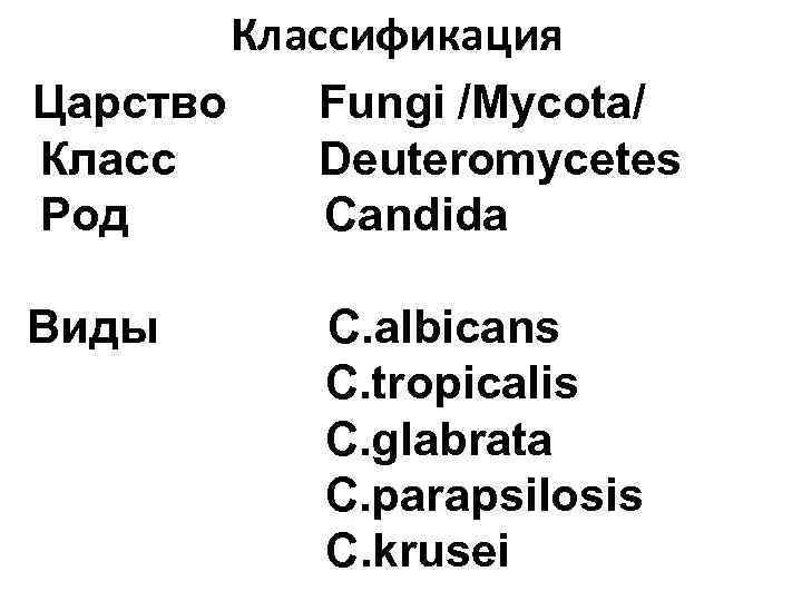 Классификация Царство Fungi /Mycota/ Класс Deuteromycetes Род Candida Виды C. albicans C. tropicalis C.