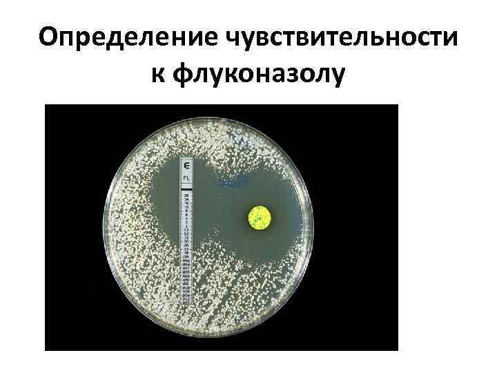 Определение чувствительности к флуконазолу 