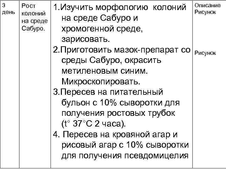 3 день Рост колоний на среде Сабуро. 1. Изучить морфологию колоний на среде Сабуро