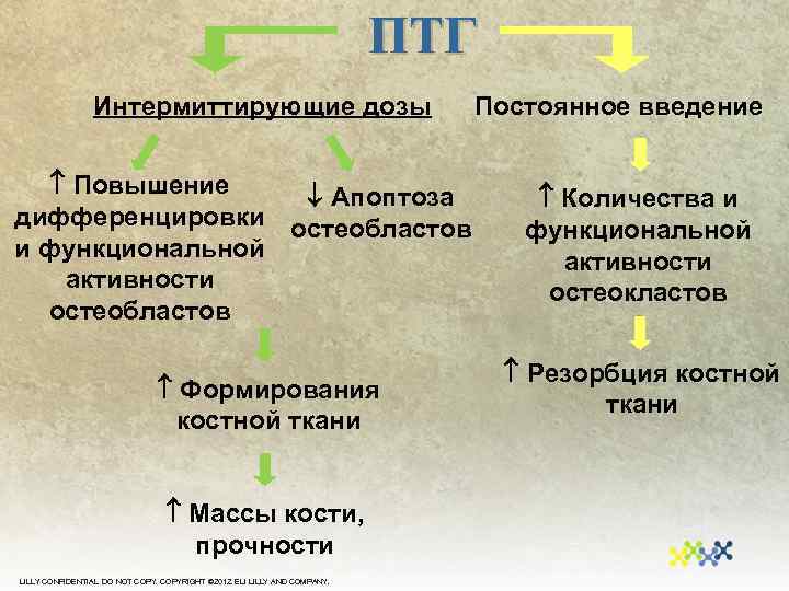 Интермиттирующая схема лечения препарата это