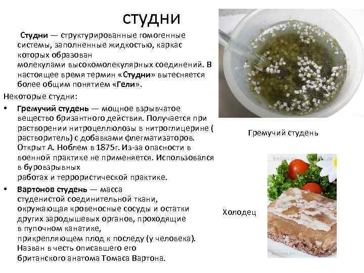 Презентация гели и студни