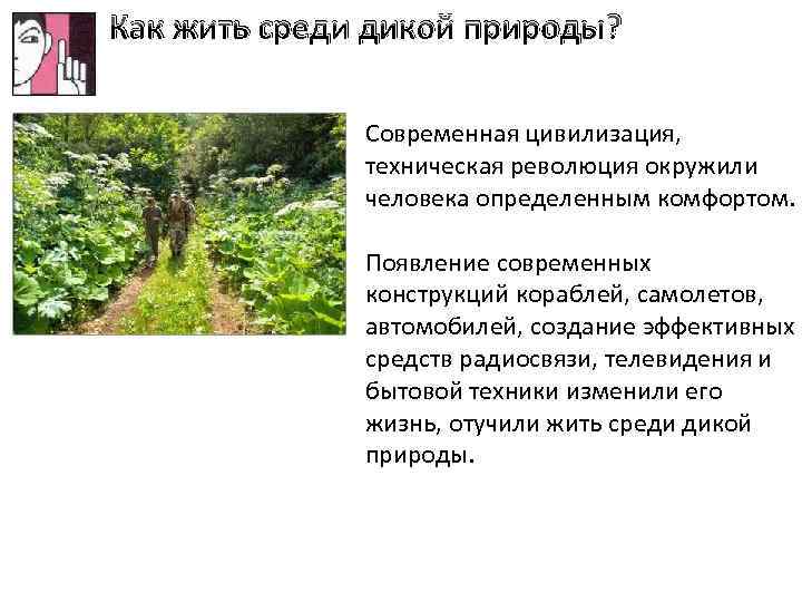 Как жить среди дикой природы? Современная цивилизация, техническая революция окружили человека определенным комфортом. Появление