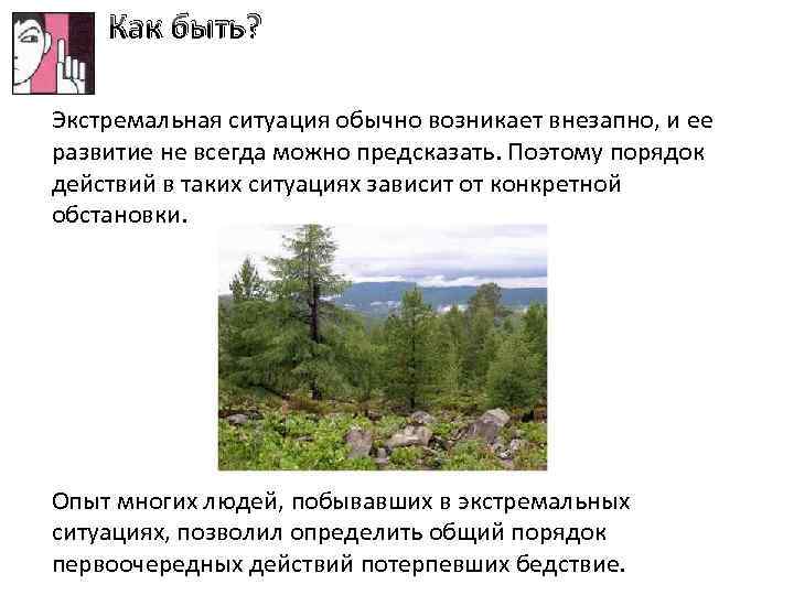 Как быть? Экстремальная ситуация обычно возникает внезапно, и ее развитие не всегда можно предсказать.