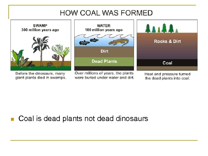 n Coal is dead plants not dead dinosaurs 
