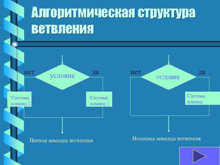 Алгоритмическая структура ветвления нет Система команд 2 условие да Система команд 1 Полная команда