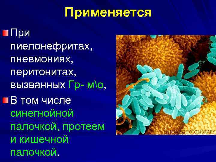 Применяется При пиелонефритах, пневмониях, перитонитах, вызванных Гр- мо, В том числе синегнойной палочкой, протеем