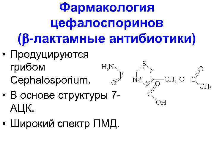 Фармакология цефалоспоринов ( -лактамные антибиотики) • Продуцируются грибом Сephalosporium. • В основе структуры 7