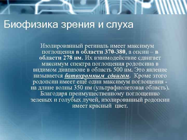 Биофизика зрения и слуха Изолированный ретиналь имеет максимум поглощения в области 370 -380, а