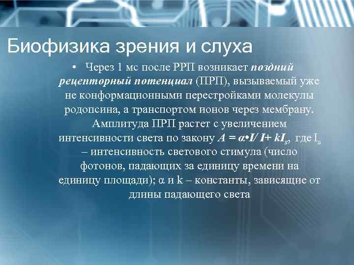 Биофизика зрения и слуха • Через 1 мс после РРП возникает поздний рецепторный потенциал