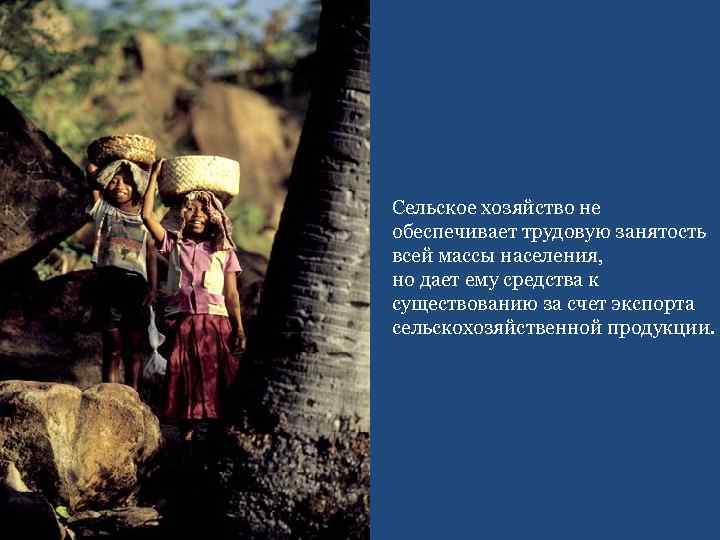 Сельское хозяйство не обеспечивает трудовую занятость всей массы населения, но дает ему средства к