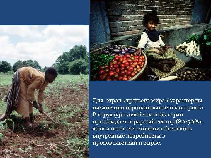 Для стран «третьего мира» характерны низкие или отрицательные темпы роста. В структуре хозяйства этих