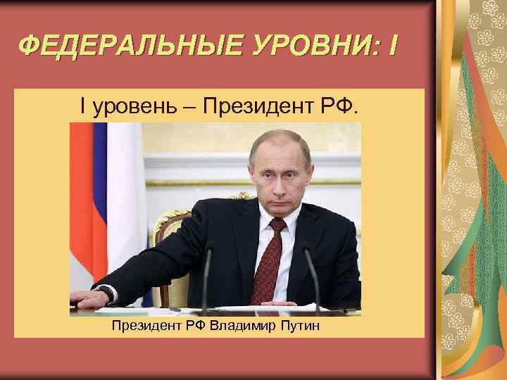 ФЕДЕРАЛЬНЫЕ УРОВНИ: I I уровень – Президент РФ Владимир Путин 
