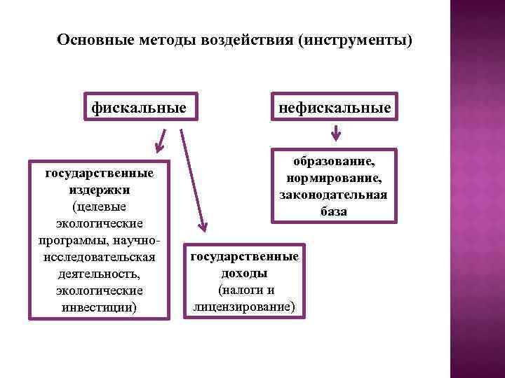 Основные методы воздействия (инструменты) фискальные государственные издержки (целевые экологические программы, научноисследовательская деятельность, экологические инвестиции)