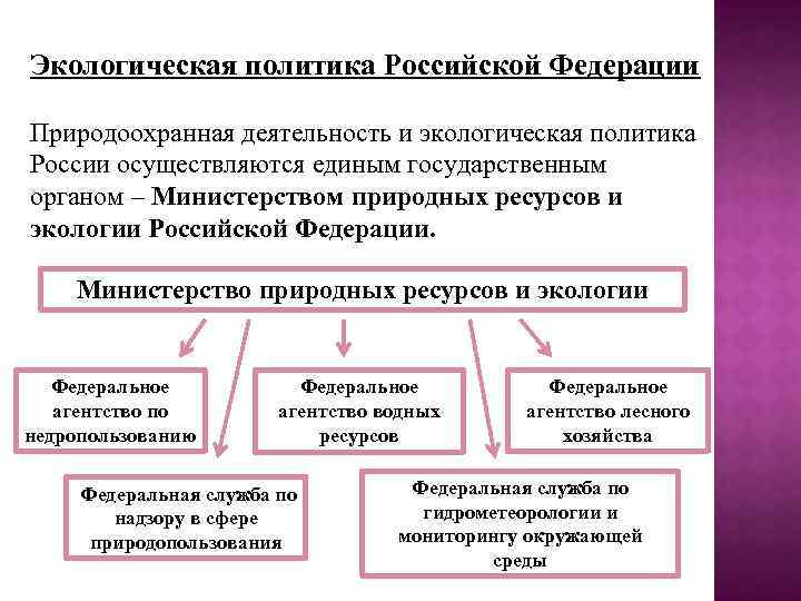 Основные направления политики государства в области культуры презентация