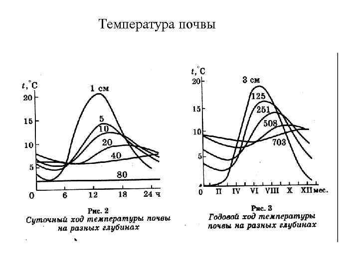 Температура почвы 