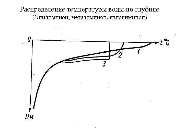 Распределение температуры. Эпилимнион. Металимнион эпилимнион. Распределение температуры воды по глубине. Эпилимнион термоклин гиполимнион.