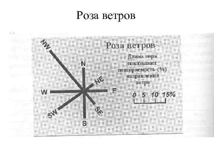 Роза ветров 