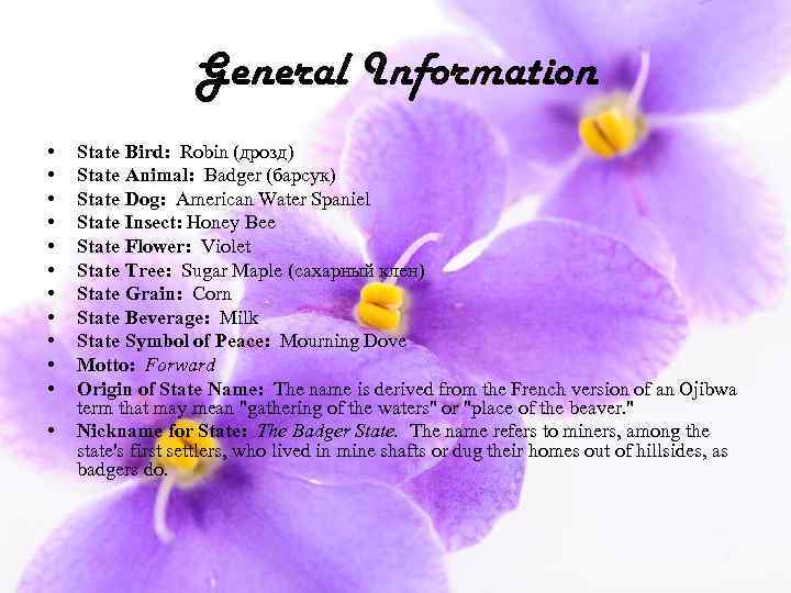 General Information • • • State Bird: Robin (дрозд) State Animal: Badger (барсук) State