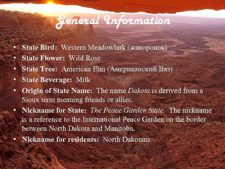 General Information • • • State Bird: Western Meadowlark (жаворонок) State Flower: Wild Rose
