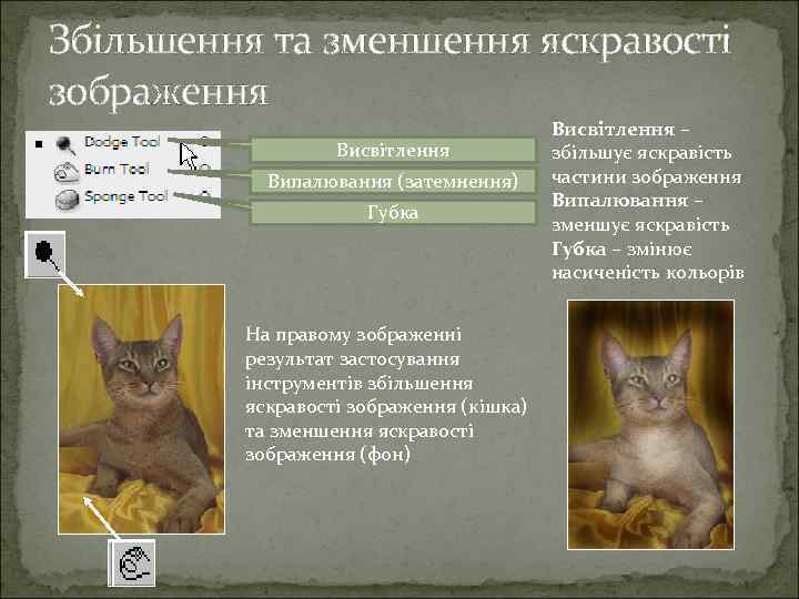 Збільшення та зменшення яскравості зображення Висвітлення Випалювання (затемнення) Губка На правому зображенні результат застосування