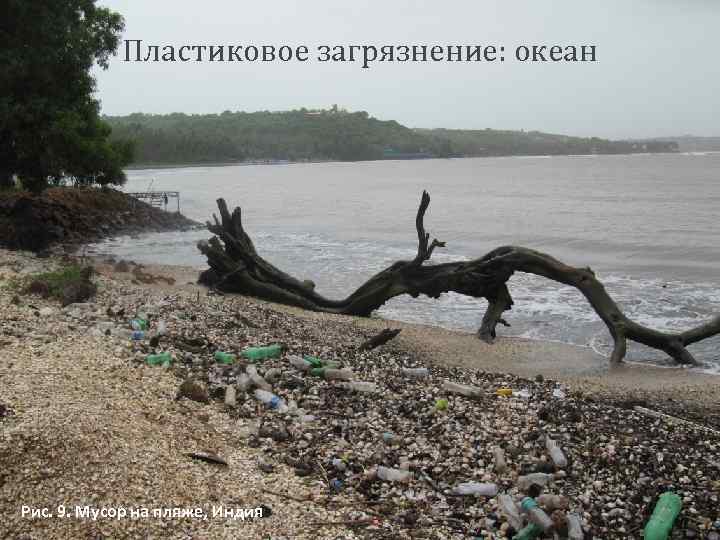 Пластиковое загрязнение: океан Рис. 9. Мусор на пляже, Индия 