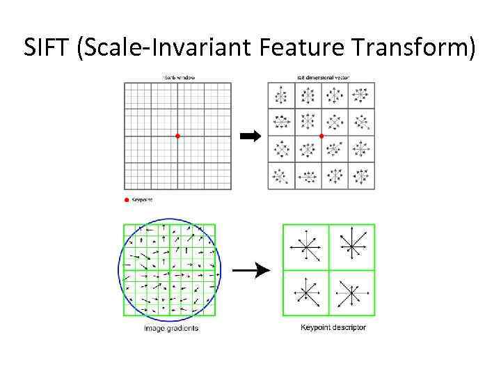 SIFT (Scale-Invariant Feature Transform) 