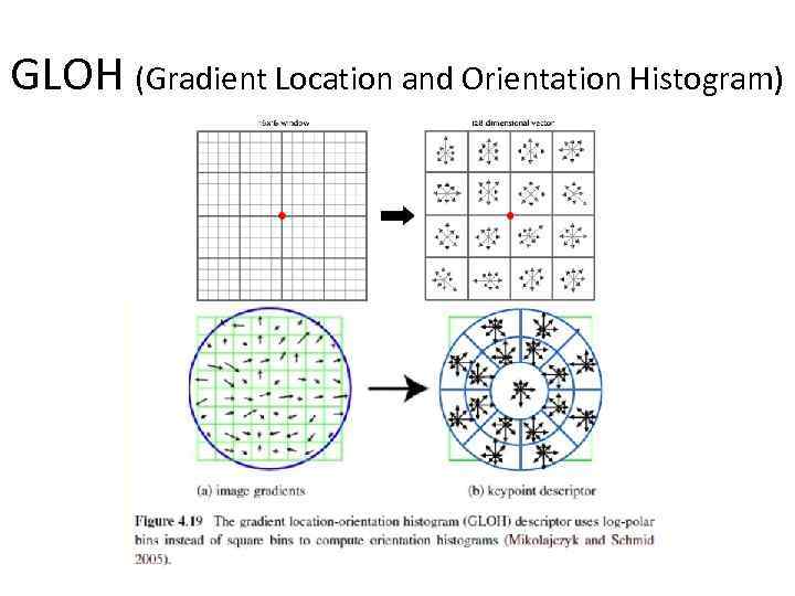 GLOH (Gradient Location and Orientation Histogram) 