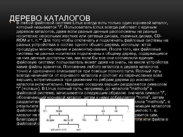 ДЕРЕВО КАТАЛОГОВ • В любой файловой системе Linux всегда есть только один корневой каталог,