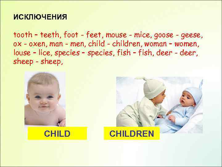 ИСКЛЮЧЕНИЯ tooth – teeth, foot - feet, mouse - mice, goose - geese, ox