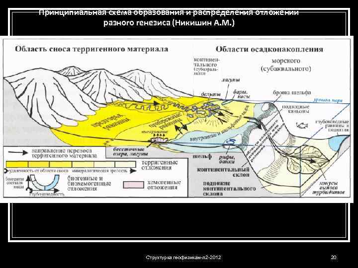 Принципиальная схема образования и распределения отложений разного генезиса (Никишин А. М. ) Структурка геофизикам-л