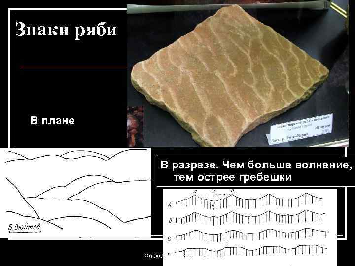 Знаки ряби В плане В разрезе. Чем больше волнение, тем острее гребешки Структурка геофизикам-л