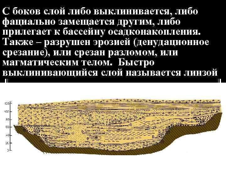 С боков слой либо выклинивается, либо фациально замещается другим, либо прилегает к бассейну осадконакопления.