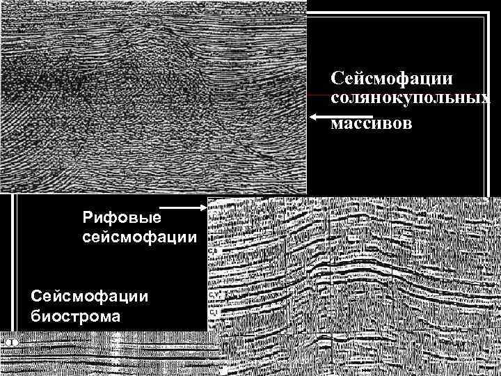 Сейсмофации солянокупольных массивов Рифовые сейсмофации Сейсмофации биострома Структурка геофизикам-л 2 -2012 37 