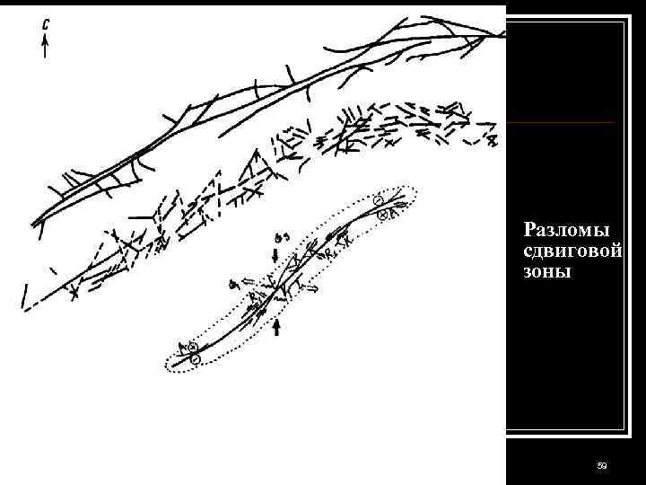 Разломы сдвиговой зоны Структурка геофизикам-л 2 -2012 59 