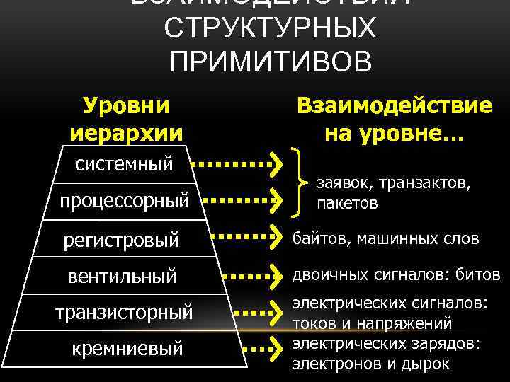 Структурные уровни иерархически организованной системы живой материи