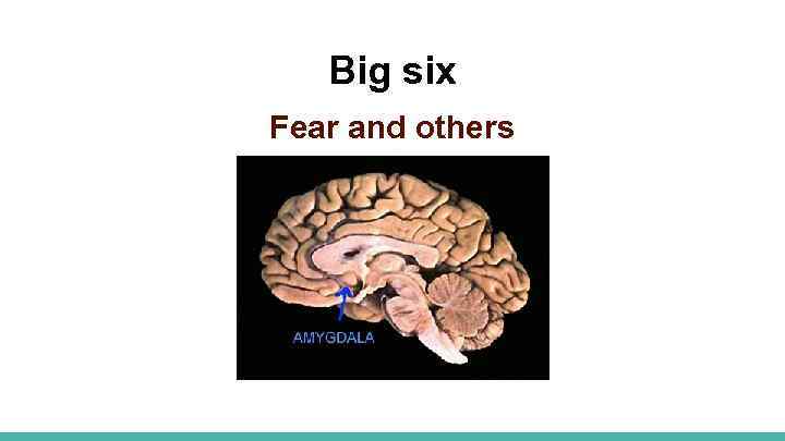 Big six Fear and others 