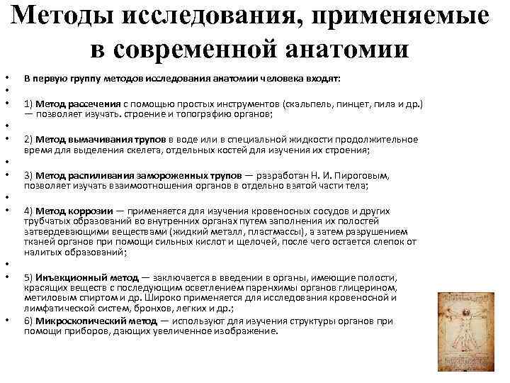 Методы исследования, применяемые в современной анатомии • • • В первую группу методов исследования