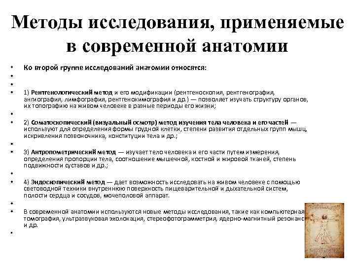 Методы исследования, применяемые в современной анатомии • • • • Ко второй группе исследований