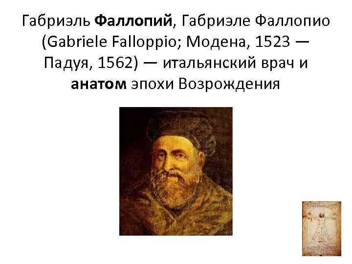Габриэль Фаллопий, Габриэле Фаллопио (Gabriele Falloppio; Модена, 1523 — Падуя, 1562) — итальянский врач
