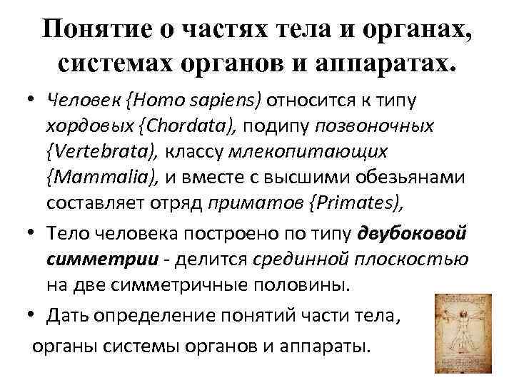Понятие о частях тела и органах, системах органов и аппаратах. • Человек {Homo sapiens)