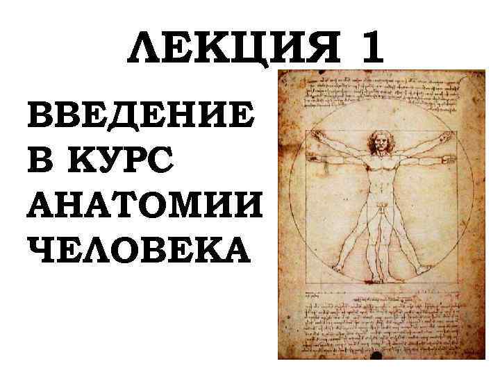 ЛЕКЦИЯ 1 ВВЕДЕНИЕ В КУРС АНАТОМИИ ЧЕЛОВЕКА 