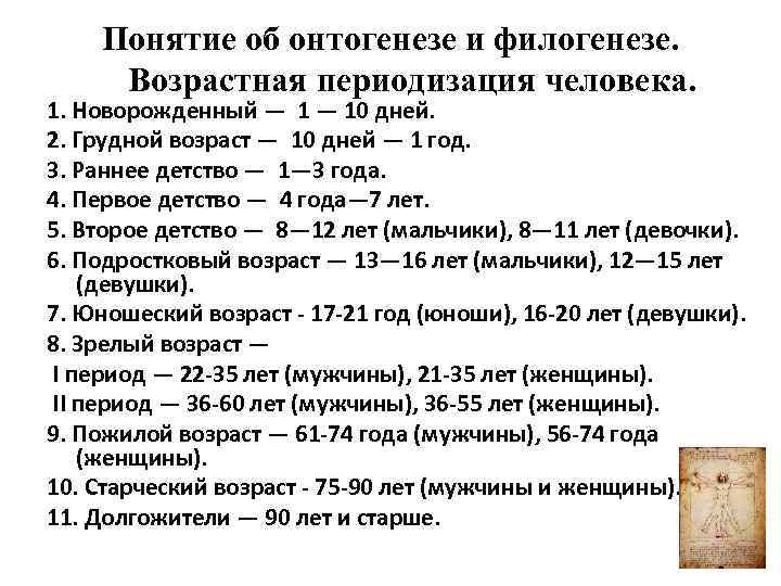 Понятие об онтогенезе и филогенезе. Возрастная периодизация человека. 1. Новорожденный — 10 дней. 2.