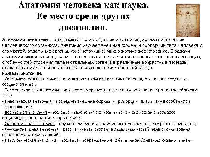 Анатомия человека как наука. Ее место среди других дисциплин. Анатомия человека — это наука