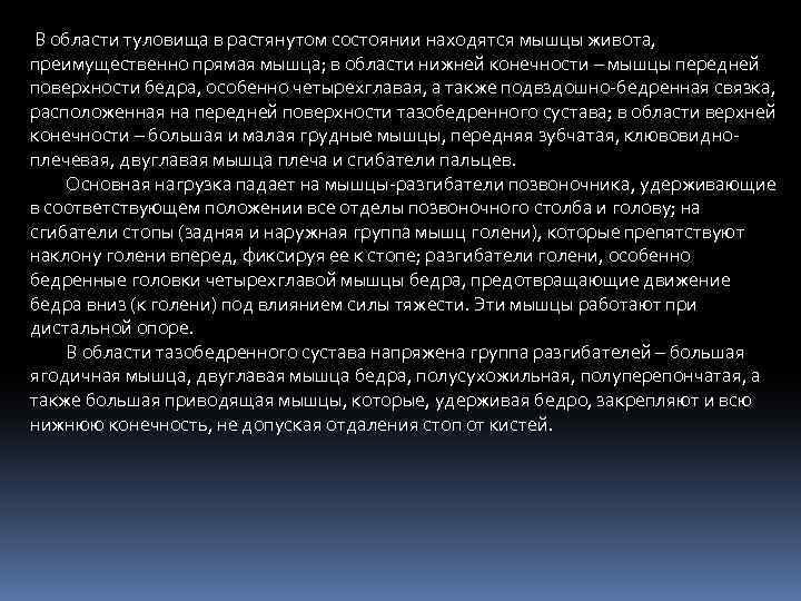 В области туловища в растянутом состоянии находятся мышцы живота, преимущественно прямая мышца; в области