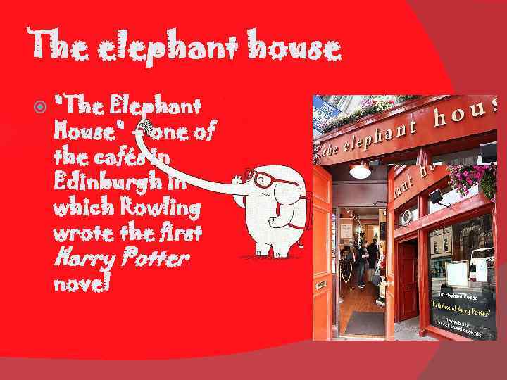 The elephant house "The Elephant House" – one of the cafés in Edinburgh in