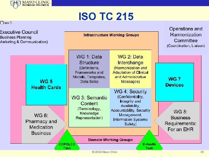 Biomedical Informatics ISO TC 215 © 2009 Mayo Clinic 30 