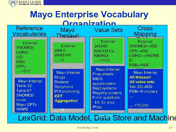 Biomedical Informatics Mayo Enterprise Vocabulary Organization Reference Cross Vocabularies External SNOMED LOINC GO ICDs